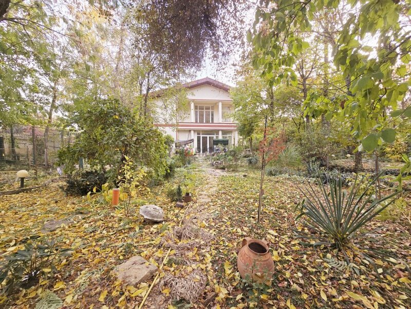 Saftica, nou, oportunitate unica, vila la padure cu cea mai frumoasa curte,