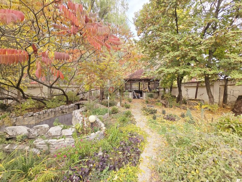 Saftica, nou, oportunitate unica, vila la padure cu cea mai frumoasa curte,