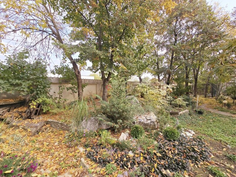 Saftica, nou, oportunitate unica, vila la padure cu cea mai frumoasa curte,