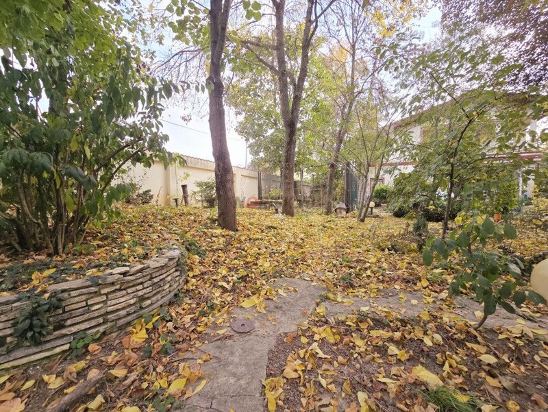 Saftica, nou, oportunitate unica, vila la padure cu cea mai frumoasa curte,