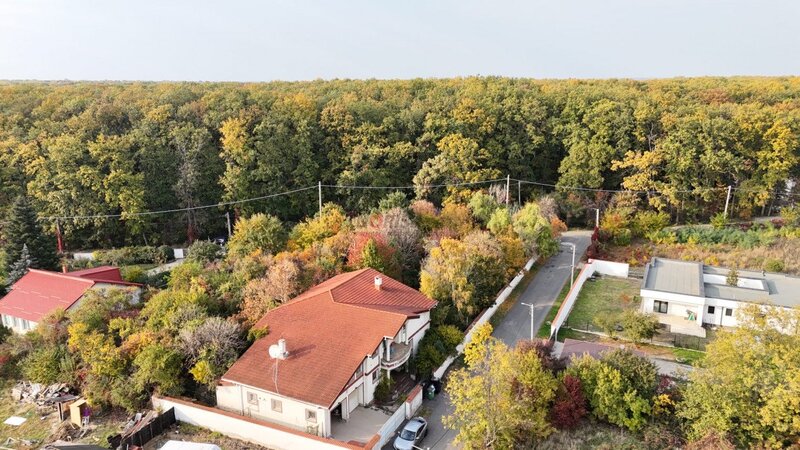 Saftica, nou, oportunitate unica, vila la padure cu cea mai frumoasa curte,