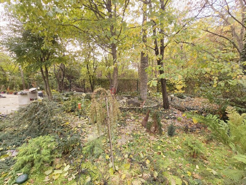 Saftica, nou, oportunitate unica, vila la padure cu cea mai frumoasa curte,