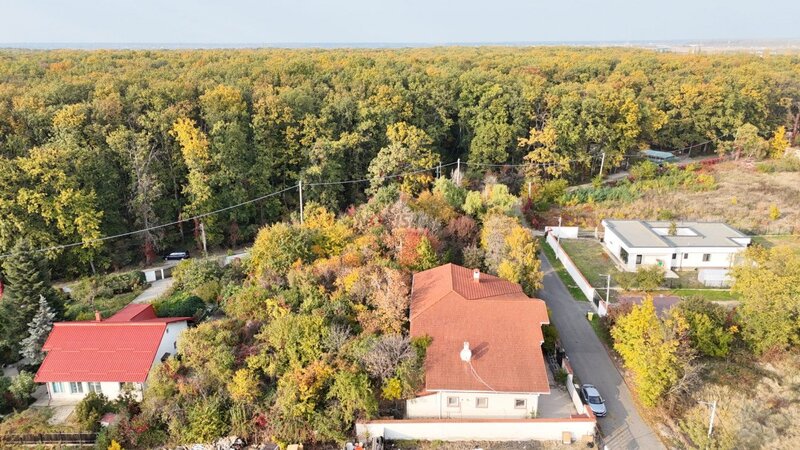 Saftica, nou, oportunitate unica, vila la padure cu cea mai frumoasa curte,