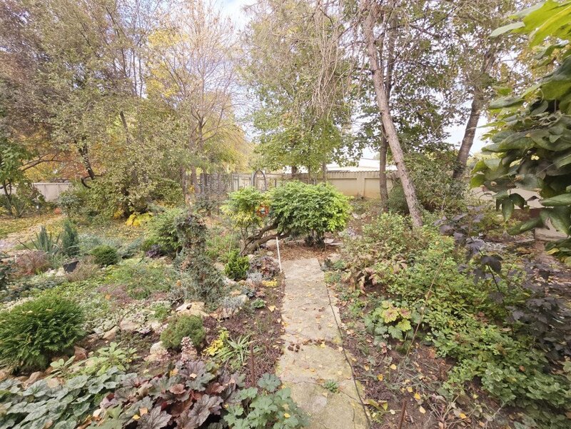 Saftica, nou, oportunitate unica, vila la padure cu cea mai frumoasa curte,